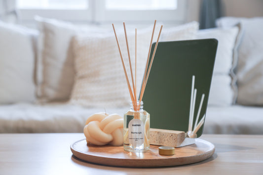 Αρωματικό Χώρου με fiber sticks Classic